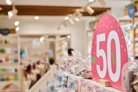 Maximizing Revenue: Dynamic Pricing Strategies for Innovative Offerings